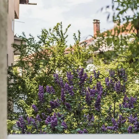 Authentic 2bdr In Center Apartamento